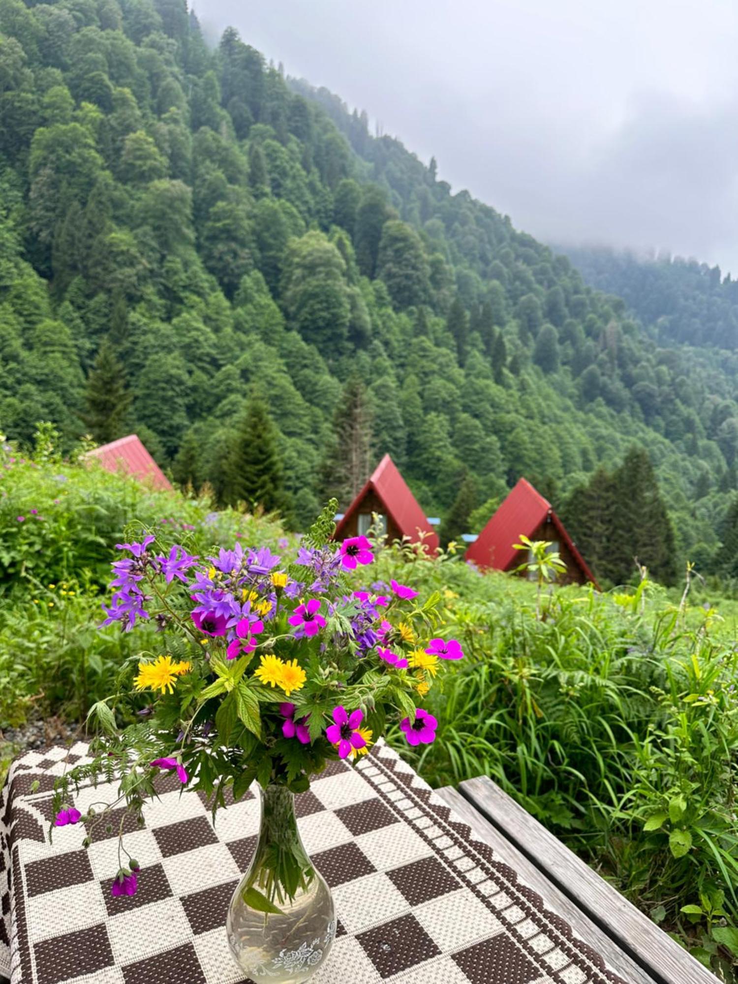 Ayder Villa Gencal Exteriör bild
