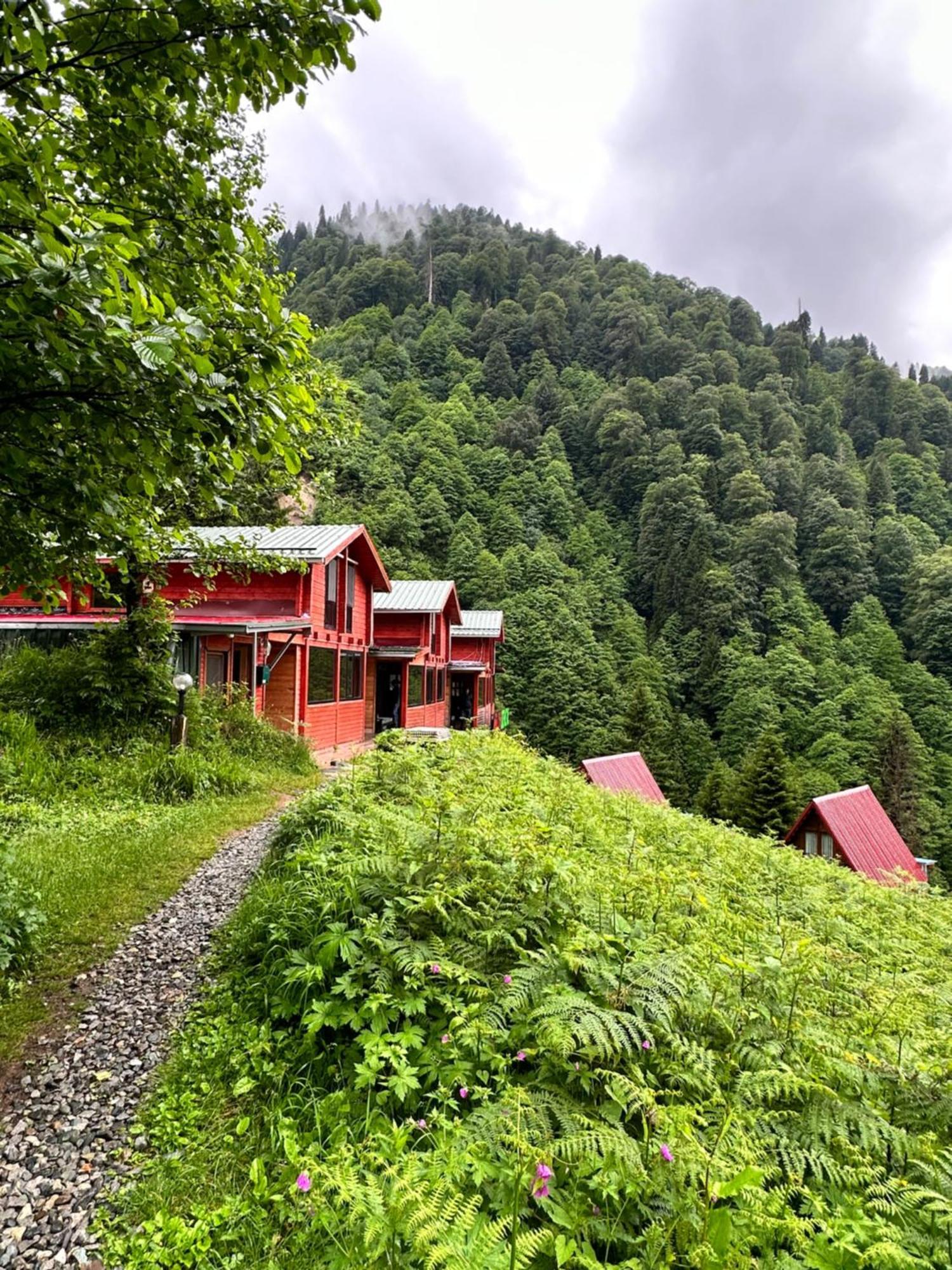 Ayder Villa Gencal Exteriör bild
