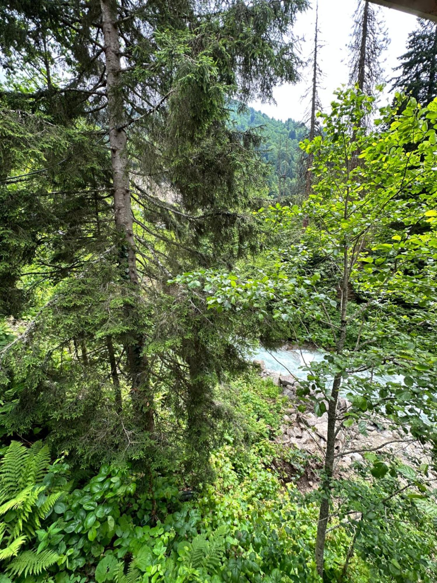 Ayder Villa Gencal Exteriör bild