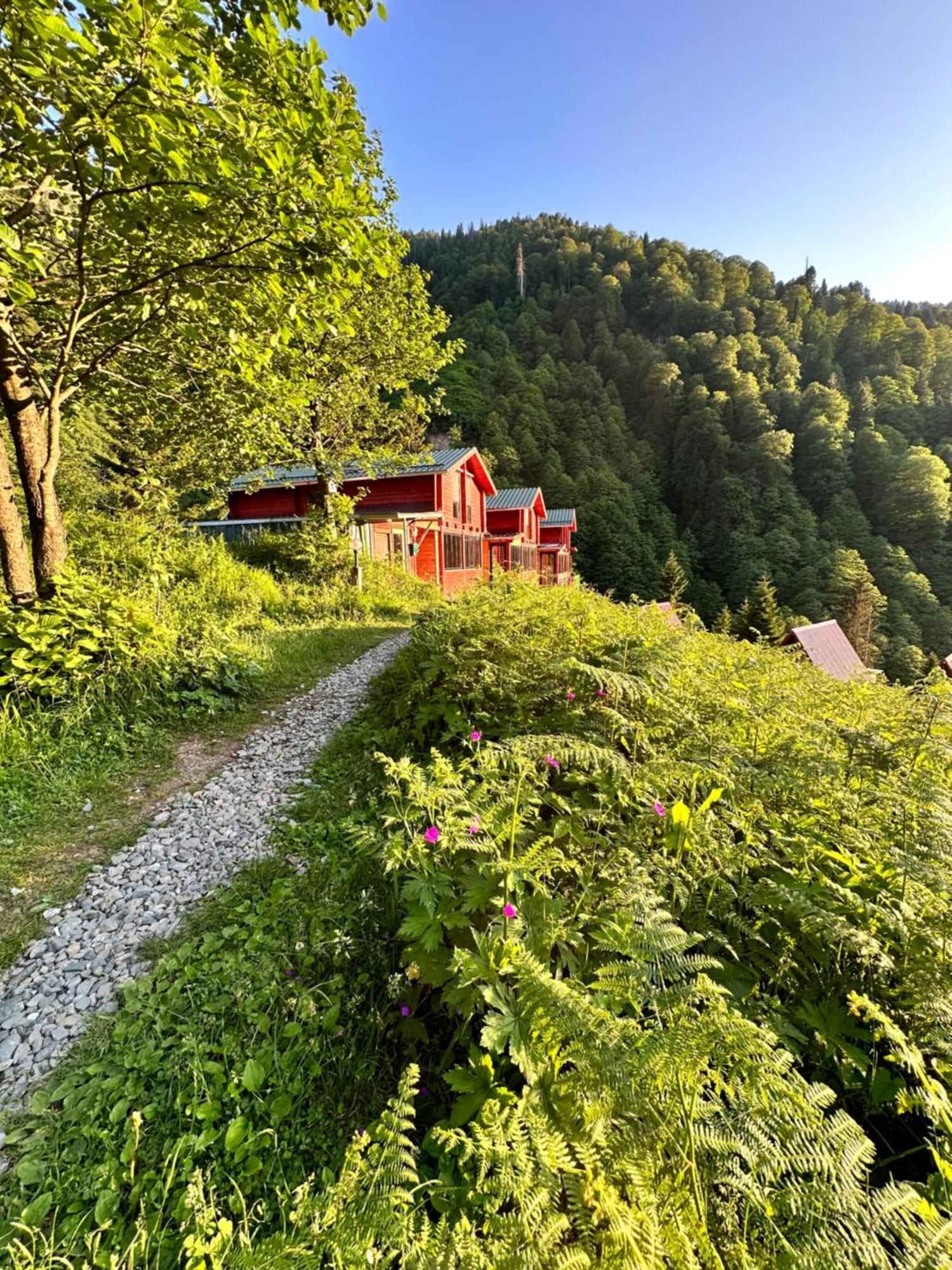 Ayder Villa Gencal Exteriör bild