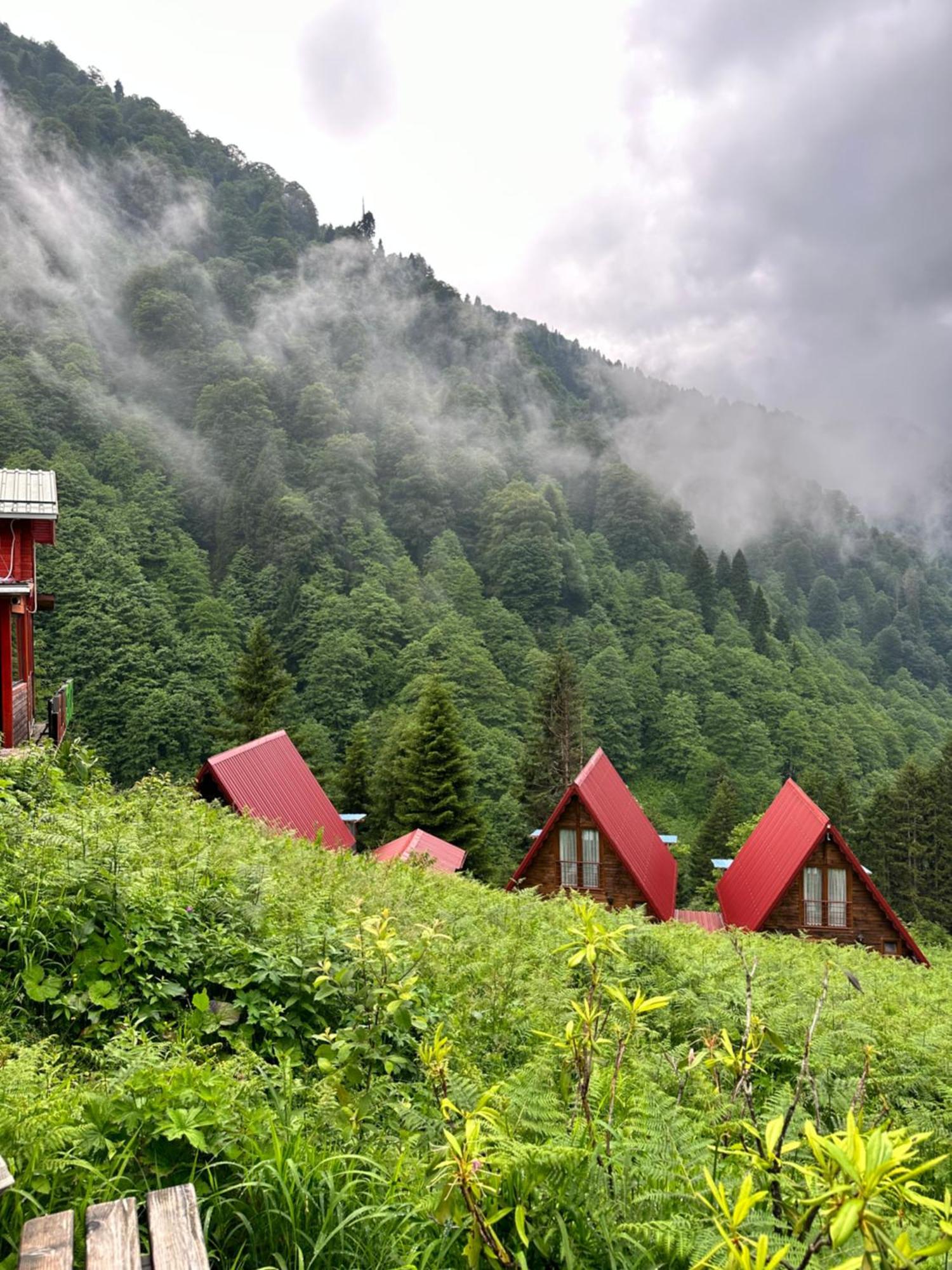 Ayder Villa Gencal Exteriör bild