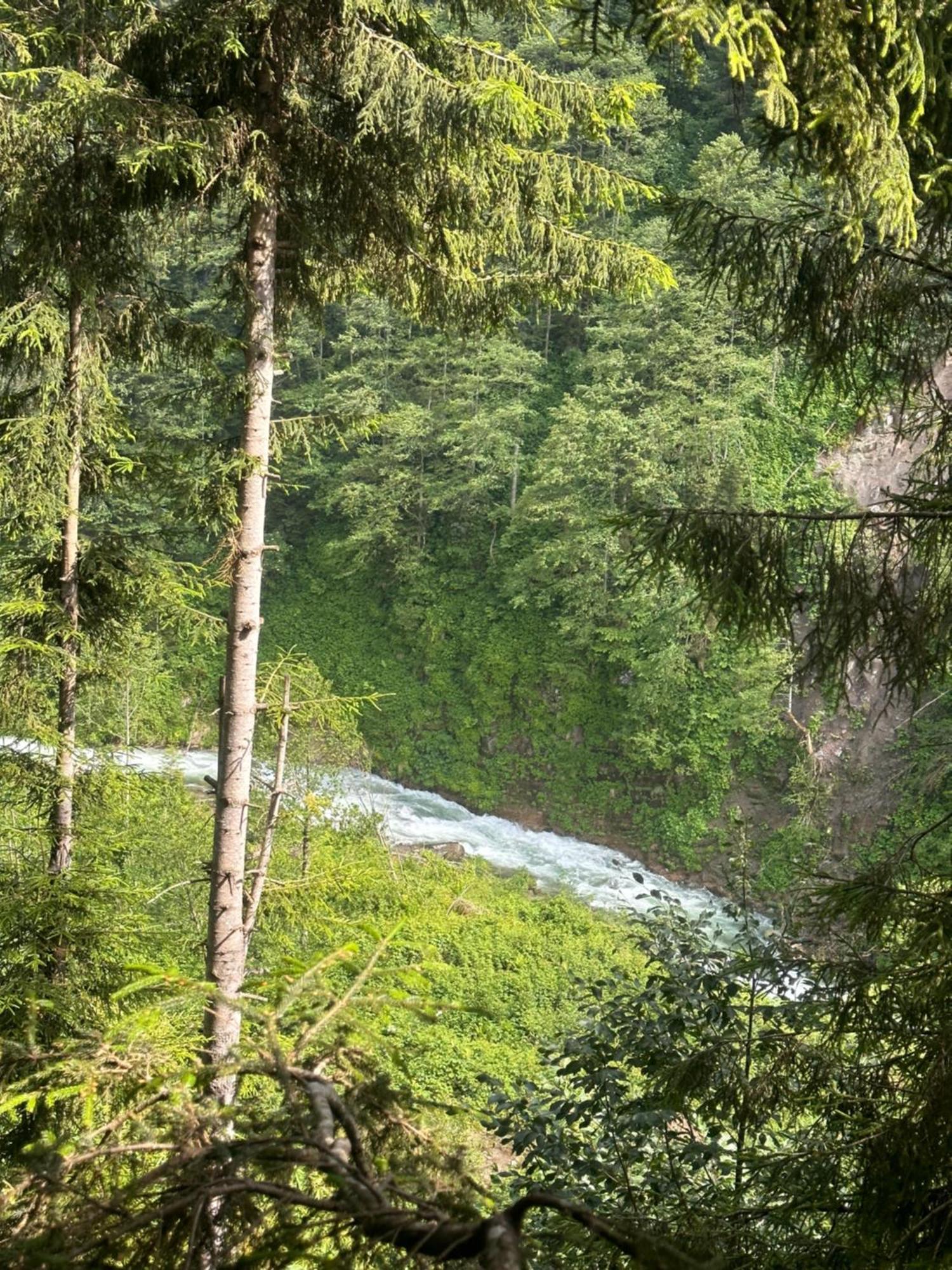 Ayder Villa Gencal Exteriör bild